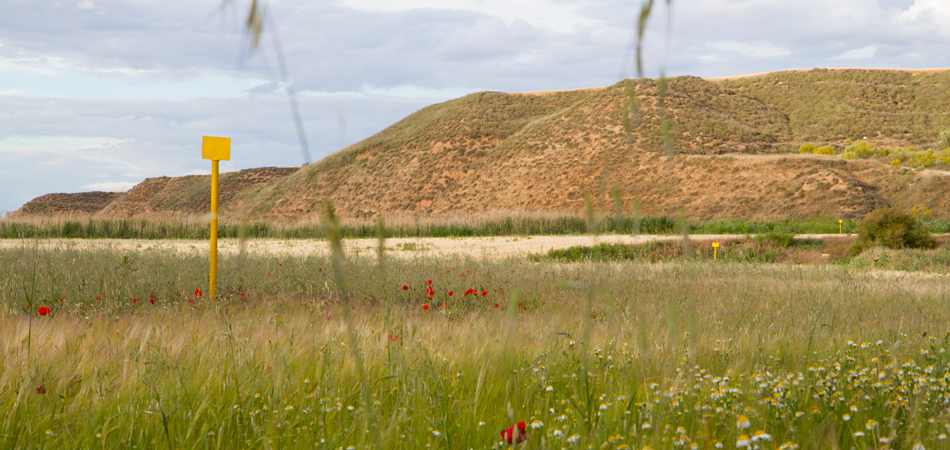 Foto de un paisaje de Zahara de los atunes