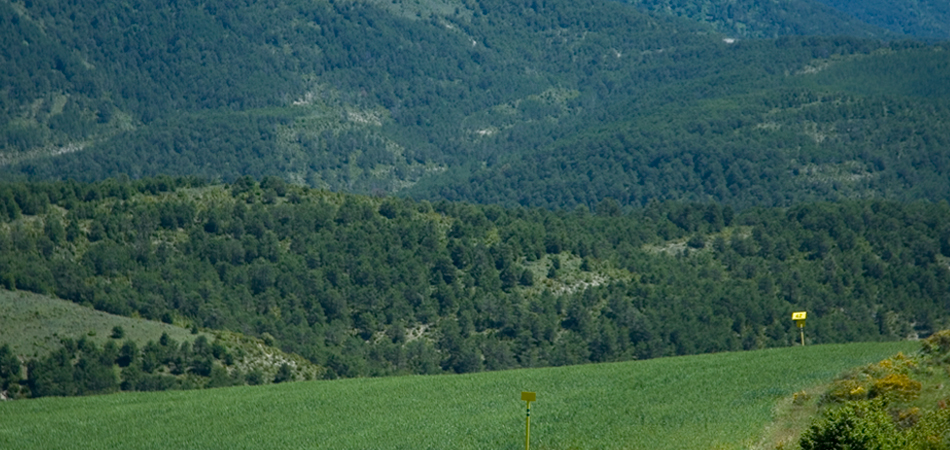 Una foto del paisaje del País Vasco